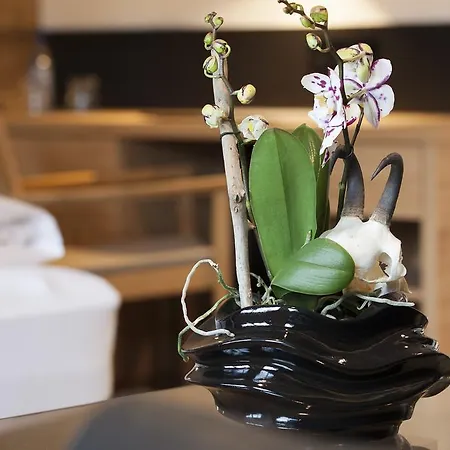 Boutique Hotel Gams Оберстдорф Номер фото